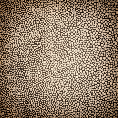 Leather texture background detailの写真素材