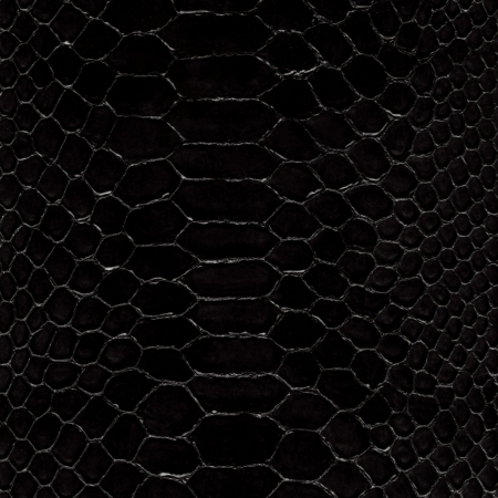 Crocodile leather background patternの写真素材
