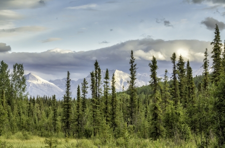 Mountains view from Alaska Highwayの写真素材