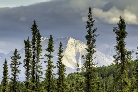 Mountains view from Alaska Highwayの写真素材