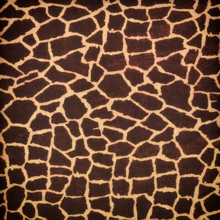 Wild animal skin backgroundの写真素材