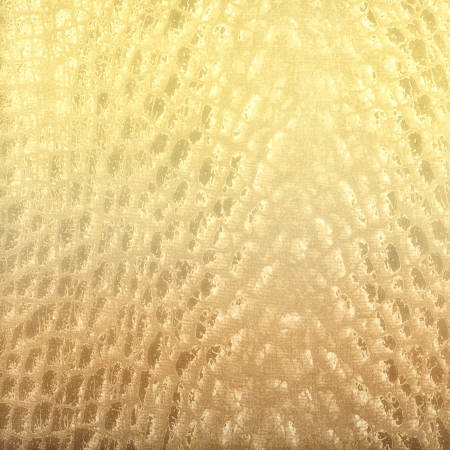 Crocodile skin pattern for textureの写真素材