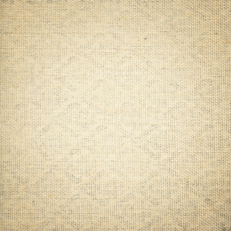 Linen texture with delicate pattern for backgroundの写真素材
