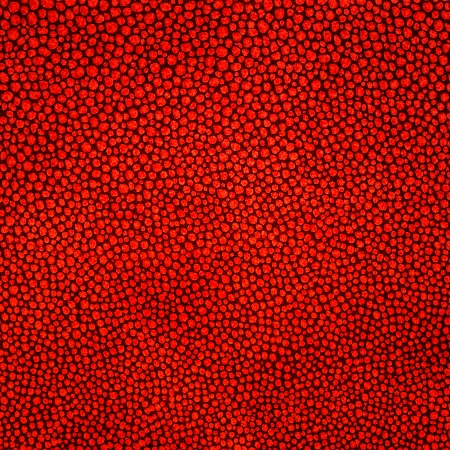 Red leather pattern texture backgroundの写真素材