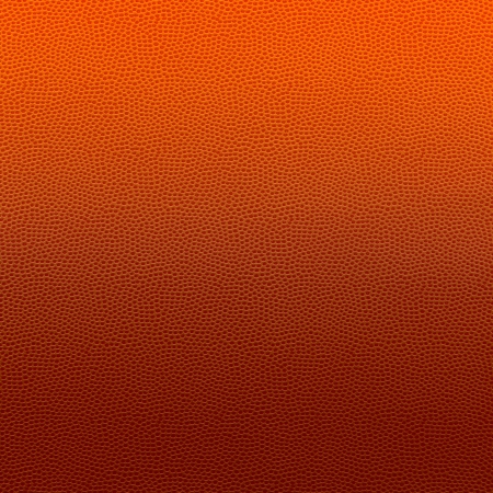 background, sport, pattern, ball, game, basket, leather, closeup, team, frame, skin, photography, isolated, leisure, rubber, nobody, activity, copy, white, shadow, competitive, orange, full, close-up, macro, equipment, recreation, illustration, over, objeの写真素材
