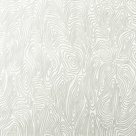 Modern white abstract backgroundの写真素材