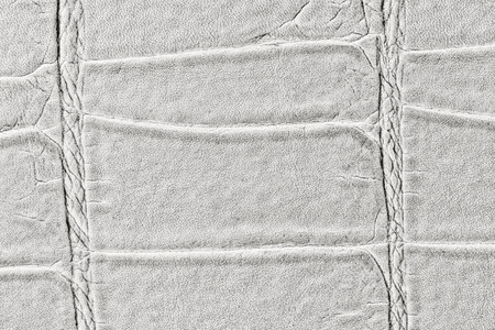 White Leather texture backgroundの写真素材