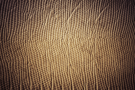 Leather texture backgroundの写真素材