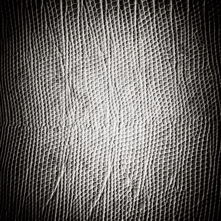 Leather texture backgroundの写真素材
