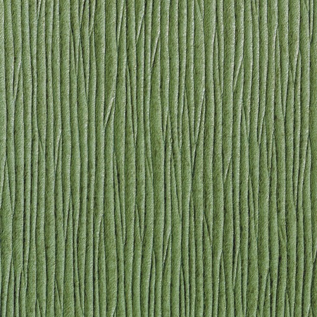 Abstract organic decoration backgroundの写真素材