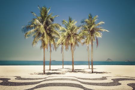 Palms full of sunshine on Copacabana Beach in Rio de Janeiro, Brazilの写真素材