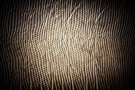 Leather texture backgroundの写真素材