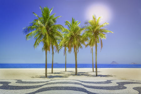 Palms full of sunshine on Copacabana Beach in Rio de Janeiro, Brazilの写真素材