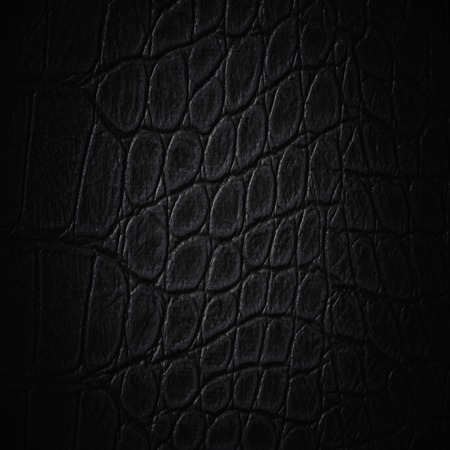 Dark animal skin leather texture