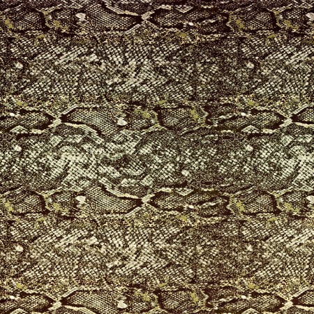 Snake leather skin background and texture の写真素材