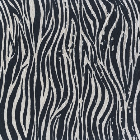 Zebra pattern on linen backgroundの写真素材