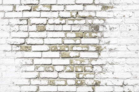 White brick wall for background or textureの写真素材