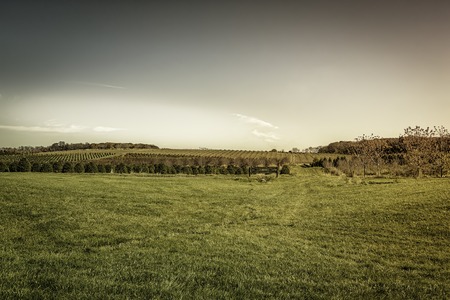 Autumn on American Farmの写真素材