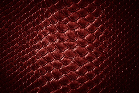 Crocodile red skin leather texture