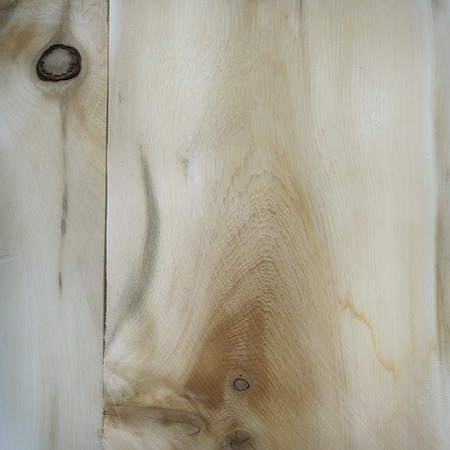 Knotty wood for texture or backgroundの写真素材