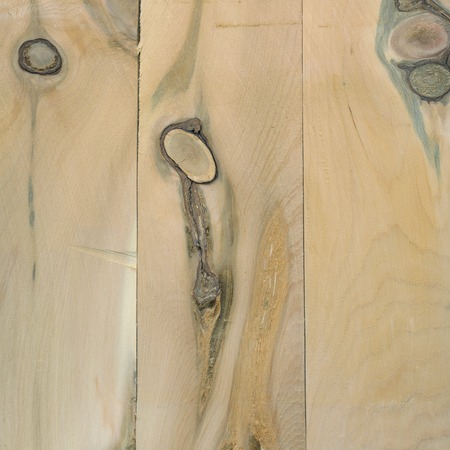 Knotty wood for texture or backgroundの写真素材