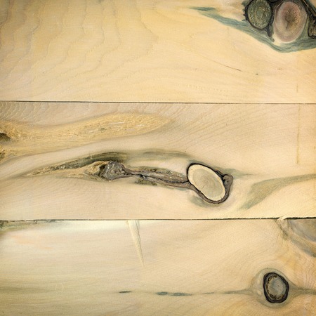 Knotty wood for texture or backgroundの写真素材