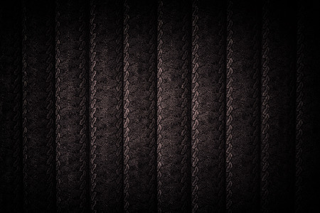 Dark Brown Snake skin background on the wallの写真素材