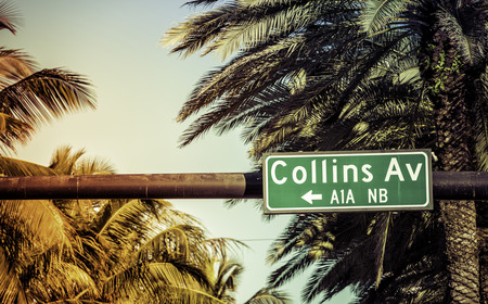 Coconut palm trees against Collins Avenue sign in Miami Beach, Floridaの写真素材