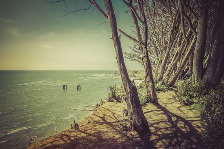 Steep Californian cliffs with trees - vintage viewの写真素材