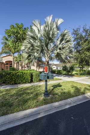 Gated community houses with Christmas decoration in South Floridaの写真素材