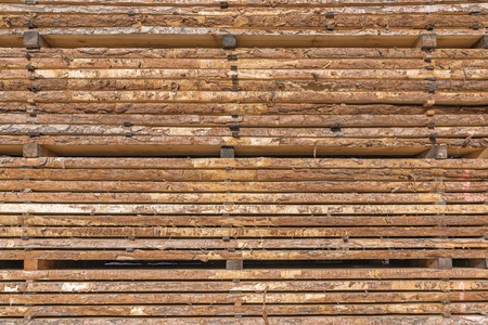 Drying timber boards background at sawmillの写真素材