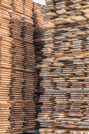 Wood boards at the sawmillの写真素材