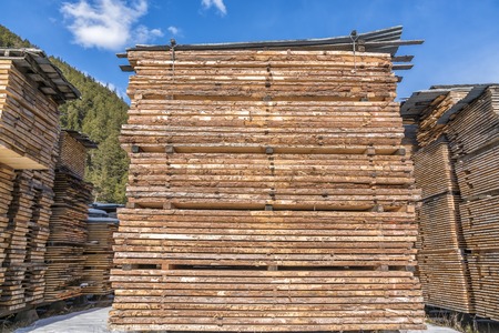 Wooden boards at the sawmill in winterの写真素材