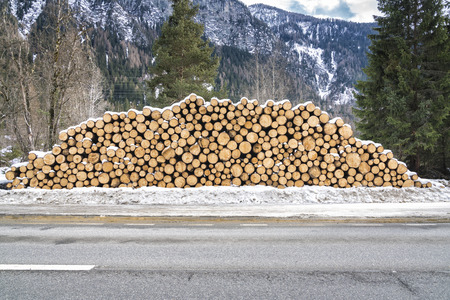 Round Wooden Stacked Piles covered with snow behind the asphalt roadの写真素材