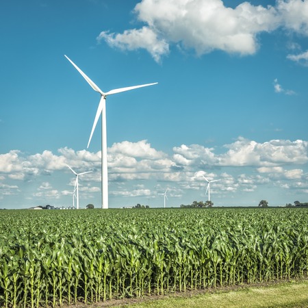 Wind farm and countryside cornfield, agriculture industryの写真素材