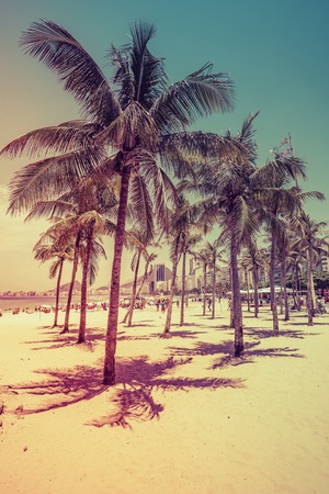Palms on famous Copacabana Beach. Lighrt effect applied. Rio de Janeiro, Brazilの写真素材