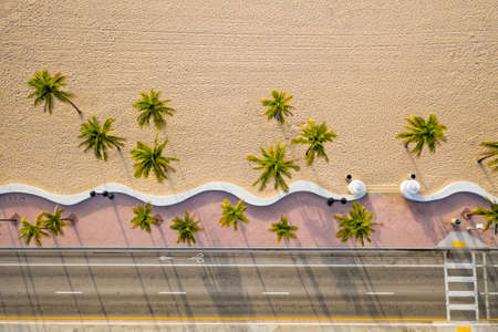 Aerial top view of Fort Lauderdale Beach walkway with palm trees, Floridaの写真素材