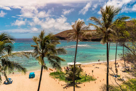 Palm trees on Hanauma Beach with people relaxing and snorkeling in clear water bayの写真素材