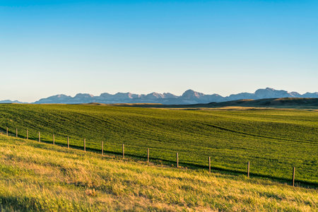 Typical panorama of Montana countryside landscape at sunset. Scenic view with fence and mountains in background. Clear skyの写真素材