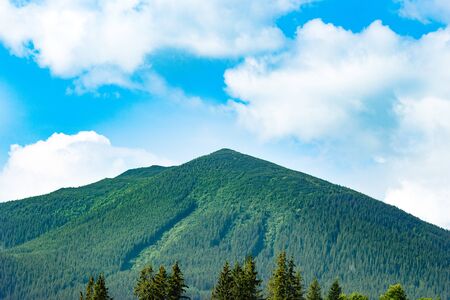 Mountains in Sunny Day. Beautiful Naturel Landscape in Summer