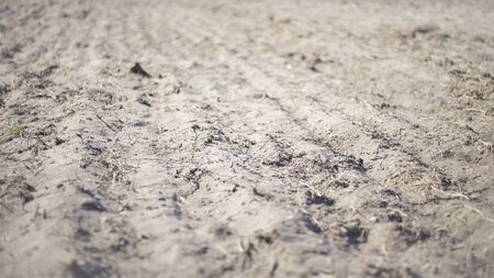 Black soil  texture.Agricultureの写真素材