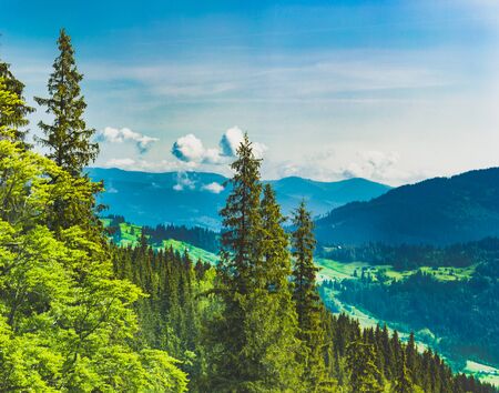 Carpathians in summer day. Mountains against the sunny blue sky with clouds on backgroundの写真素材