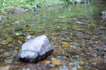Mountain river scenery in the middle of green forest