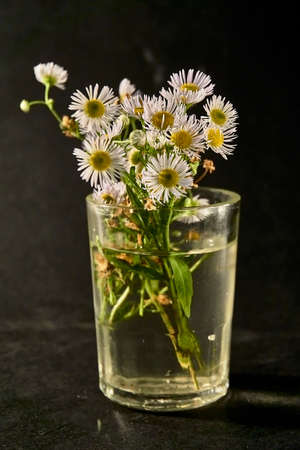 A simple bouquet of wildflowers in a small vase on the table, blur and slight noise. Still life with wildflowers. Soft selective focus bokeh.の写真素材