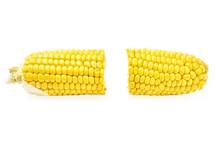 Young appetizing corn on the cob, cut in half and peeled from the leaves on a white background.の写真素材