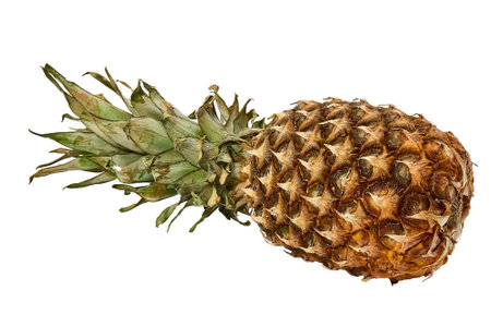 Whole pineapple, ripe, fresh fruit product, isolated on white backgroundの写真素材
