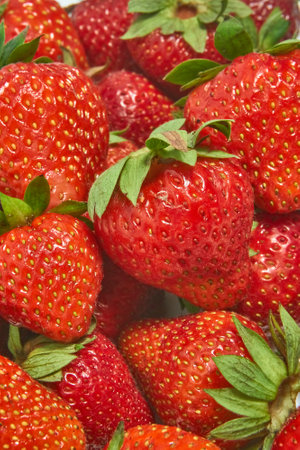 Ripe strawberries with green leaves close-up, vertical shotの写真素材