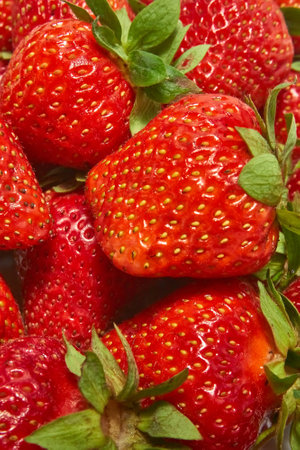 Ripe strawberries with green leaves close-up, vertical shotの写真素材