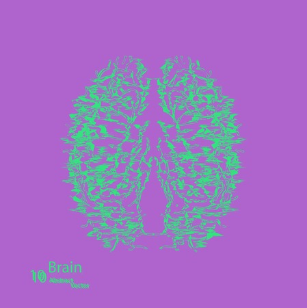Creative concept of the human brain