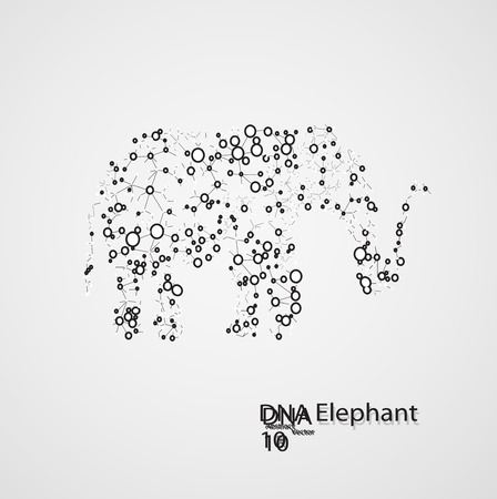 Molecular structure in the form of elephantのイラスト素材